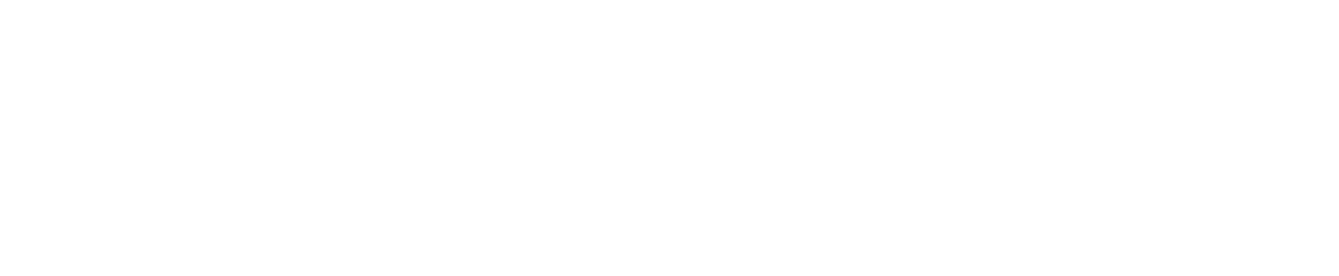 Appsolut Solutions